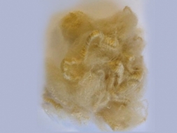 3, 6 and 15 Den. 64 mm A Grade Regenerated Polyester Staple Fiber